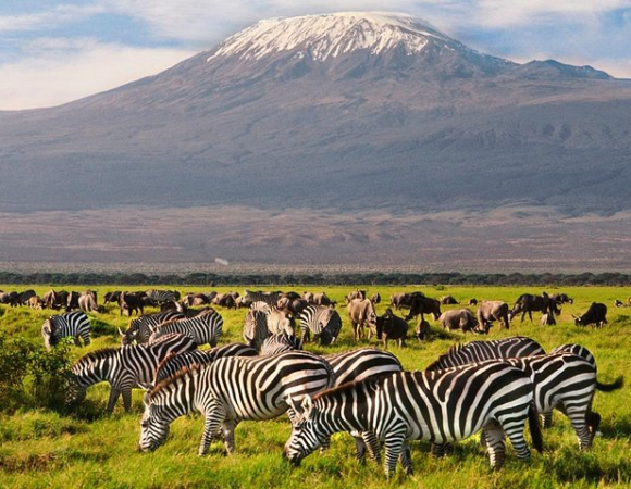 3 Days, 2 Days Amboseli Easter Safari Packages