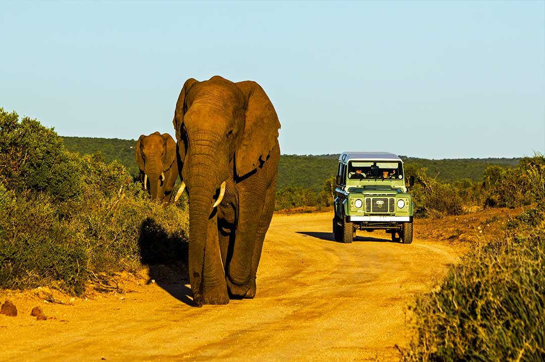 14 Days, 13 Nights Combined Beach & Bush Kenya Safari