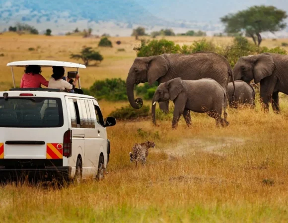 3 Days Samburu  Weekend Group Joining Safari