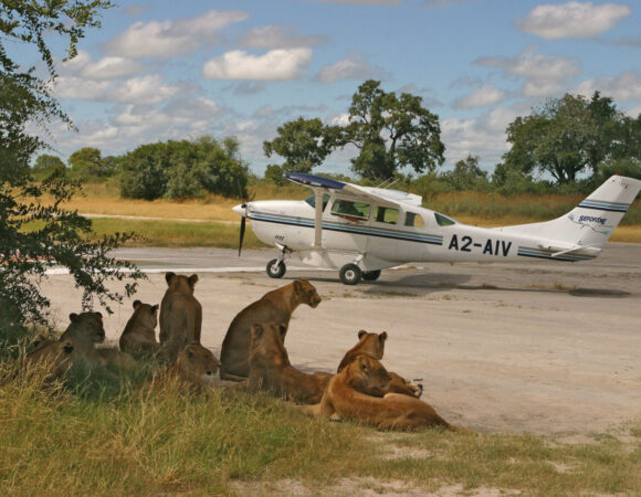 Samburu Premium Flying Package