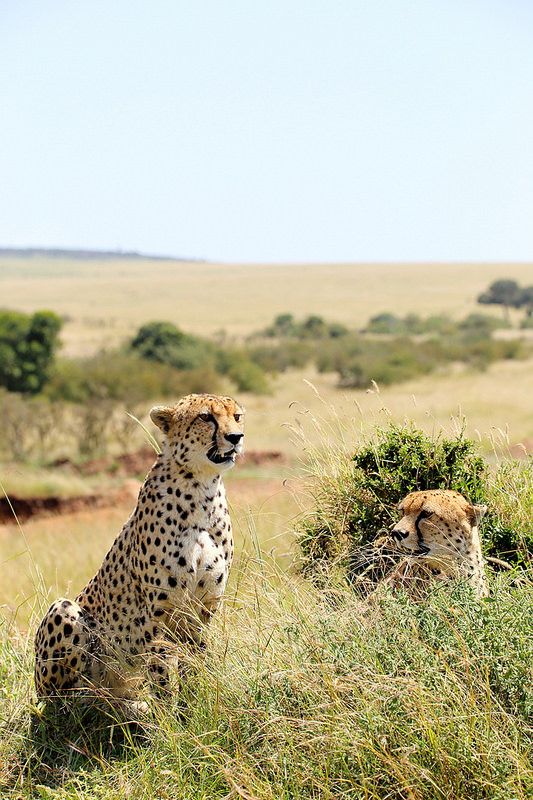 Tanzania
