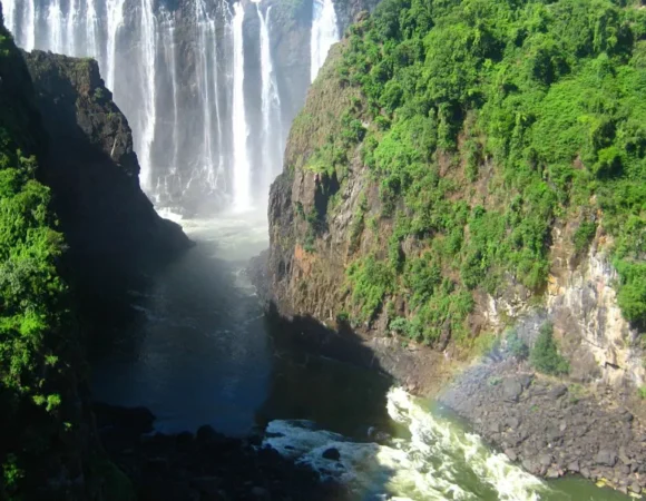8 Days Ultimate Botswana & Victoria Falls Safari